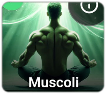Muscle Ranking – valutazione degli alimenti per la massa muscolare