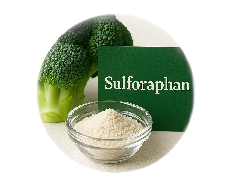 Brokkoli & Sulforaphan – Ernährungstipps