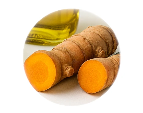 Kurkuma / Curcumin – Ernährungstipps