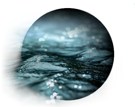 Find foods with water-soluble vitamins and fix your nutrient deficiency
