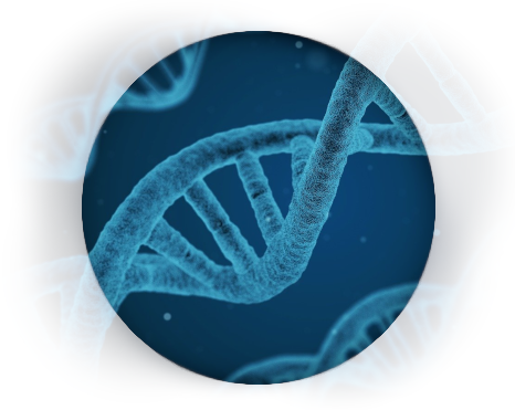 Unsere DNA wird durch unsere Lebensweise und Ernährung laufend verändert (Epigenetik)