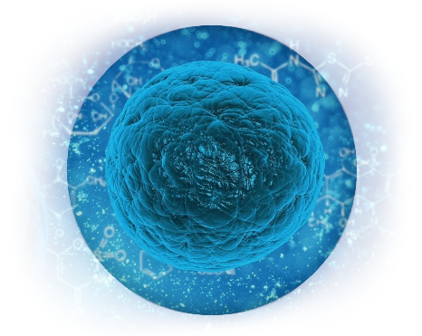 Stammzellen - die Basis für weitere Zellen und unsere Regeneration!