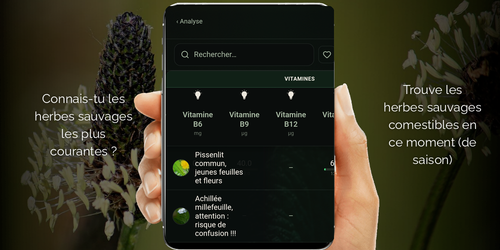 App mobile plantes sauvages comestibles - trouvez plantes sauvages et aliments de saison