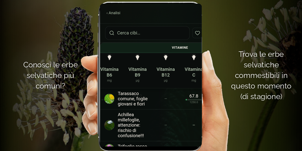 App mobile erbe selvatiche commestibili - trova erbe selvatiche e alimenti di stagione