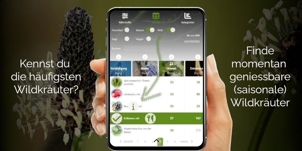 Essbare Wildkräuter Mobile App - Finde Wildkräuter und saisonale Nahrungsmittel