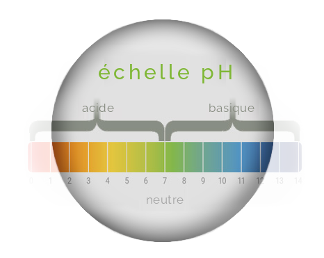 Favorisez une alimentation saine avec un équilibre acido-basique optimisé Favorisez une alimentation saine avec un équilibre acido-basique optimisé