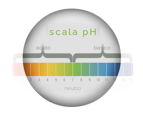 Favorisci un'alimentazione sana con un equilibrio acido-base ottimizzato