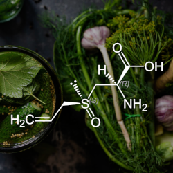 Ernährungsbereich Sekundäre Pflanzenstoffe - Lerne die Wirkung der Pflanzenstoffe kennen und setze sie richtig ein