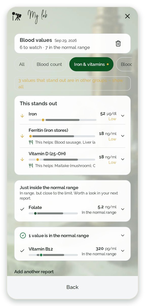 What stands out – first My lab: iron, ferritin and vitamin D marked low by the lab, folic acid in the normal range