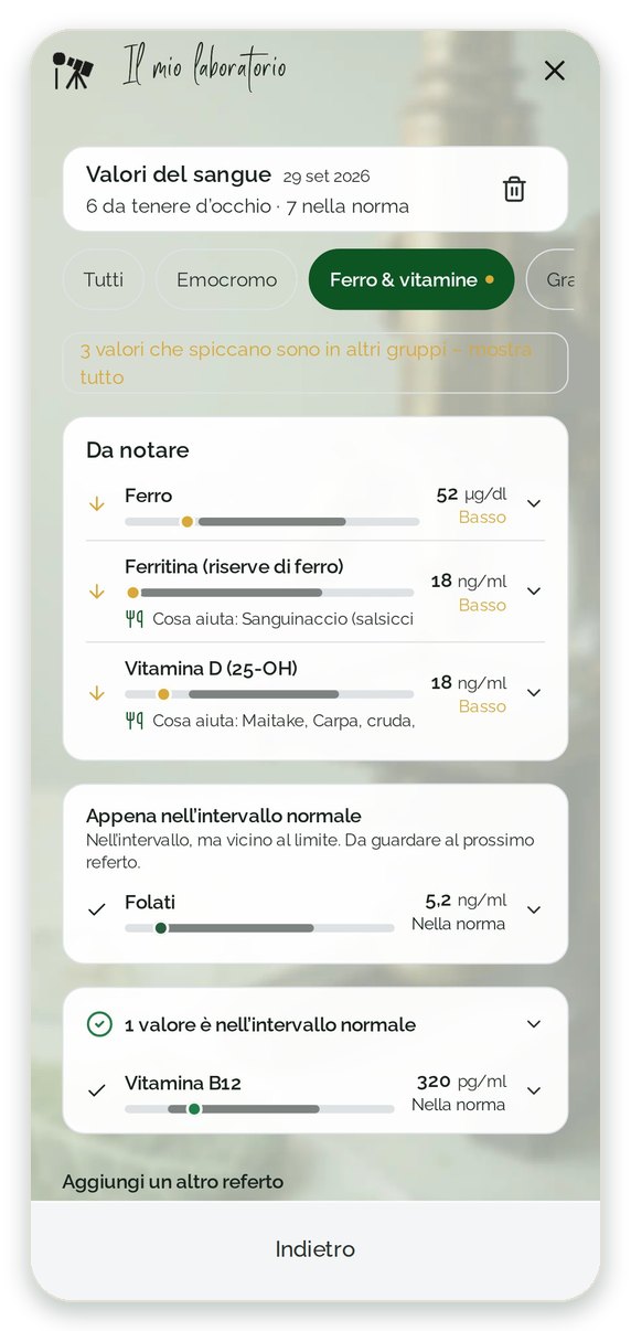 Il mio laboratorio: ferro, ferritina e vitamina D segnati come bassi dal laboratorio, acido folico nell’intervallo normale