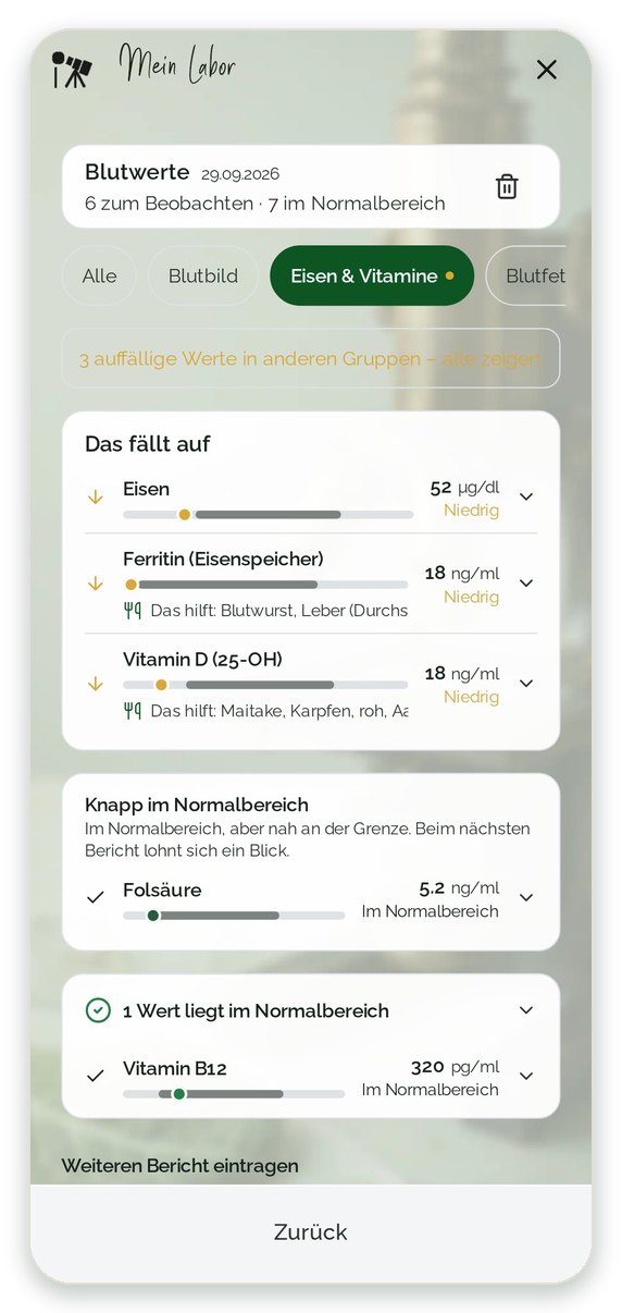 Mein Labor: Eisen, Ferritin und Vitamin D vom Labor als niedrig markiert, Folsäure im Normalbereich