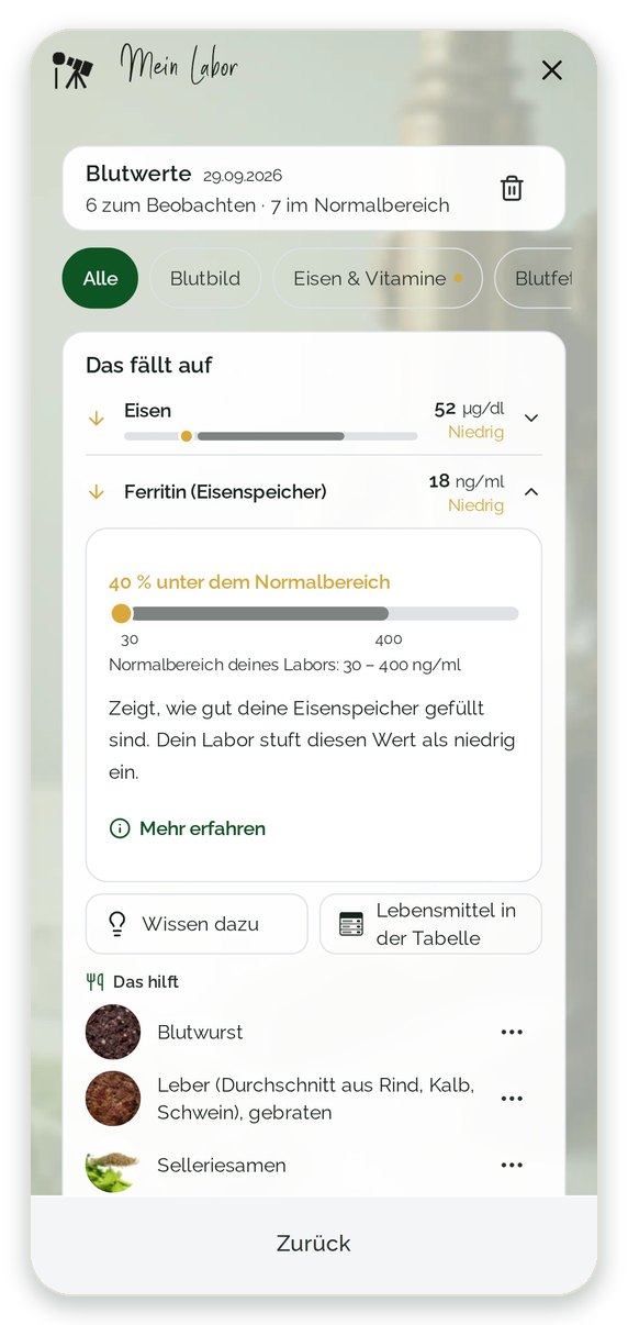 Ferritin erklärt: 40 Prozent unter dem Normalbereich des Labors, mit Lebensmitteln mit viel Eisen