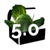 Version 5.0