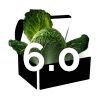 Version 6.0